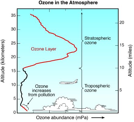 Figure 1 : profil de la concentration d’ozone dans l’atmosphère. Source. Copernicus