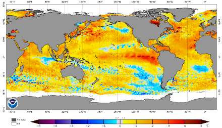 Figure 5. Anomalie de températures des eaux de surface le 25 octobre 2023. Le phénomène El Niño est bien visible avec des anomalies de températures fortement positives. On constate une petite zone avec une couleur bleue au large d’Acapulco. Il s’agit d’un phénomène d’upwelling (remontée d’eaux plus froides) généré par le passage de l’ouragan OTIS. Une autre petite zone bleue est visible au large de la Basse-Californie, trace du passage de l’ouragan Norma il y a une semaine. Sources : NOAA. 