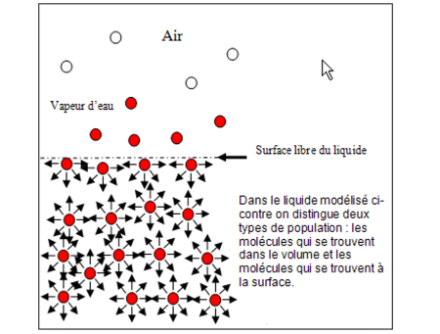Schéma explicatif de la tension superficielle. On voit que les molécules situées dans le liquide exercent des liaisons de tous côtés, alors que la force d'attraction des molécules situées en surface ne s'exerce que vers le bas et sur les côtés. Source : MétéoSuisse