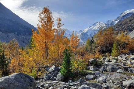Vallée de montagne avec des arbres colorés et un ciel bleu.