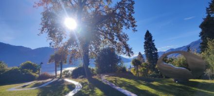Soleil radieux à Ascona ce samedi matin vers 11h