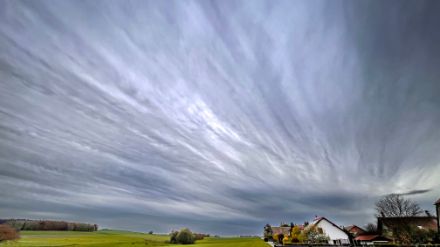 Figure 1 : Quel est ce nuage de moyenne altitude, assez opaque et pourvu de stries?
