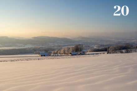 Paysage hivernal dans la région de Bellikon (ZH). 