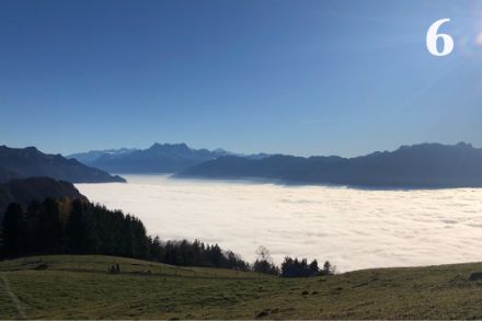 Mer de brouillard le 20 novembre 2021 depuis les Pléiades au-dessus de Vevey avec vue sur les Dents du Midi.