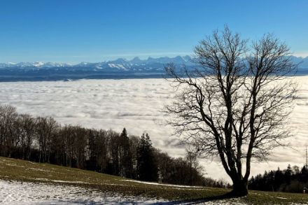 Mer de brouillard au-dessus du Plateau. 