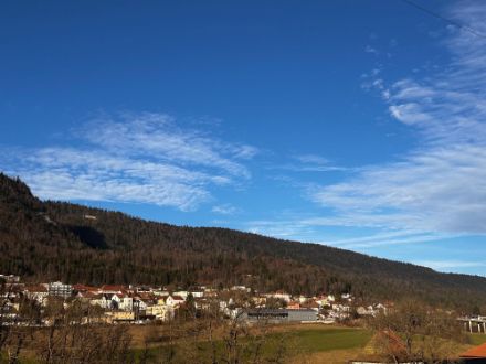 Figure 1. La neige est inexistante dans les vallons jurassiens en cette fin d’année 2023, par exemple à Saint-Imier. 
