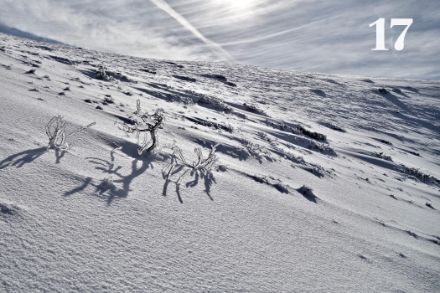 Neige fraîche et verglas dans la vallée du Louron (Hautes-Pyrénées). Photo : Élie Kirchner