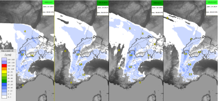 Quantités de neige prévues entre mardi 12 UTC et mercredi 00 UTC respectivement par COSMO 1, ICON 2, COSMO 2 et ICON 1. Source : NinJo@MétéoSuisse