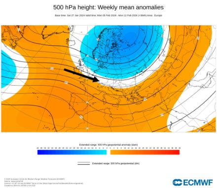 Carte du géopotentiel moyen à 500 hPa (contours noirs, en décamètres) et anomalies (couleurs) du 5 au 11 février 2024. Modèle IFS extended (moyenne de 101 membres).