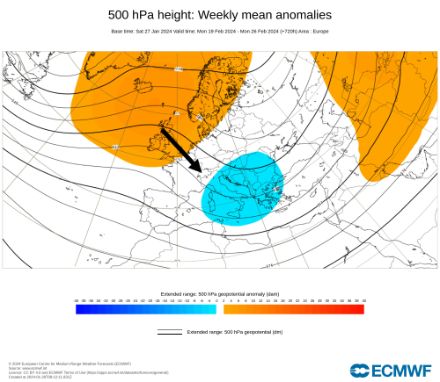 Carte du géopotentiel moyen à 500 hPa (contours noirs, en décamètres) et anomalies (couleurs) du 19 au 25 février 2024. Modèle IFS extended (moyenne de 101 membres).