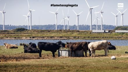Fig. 4. Parcs éoliens en Grande-Bretagne, East Sussex.