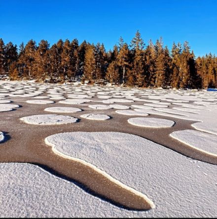 Etang de la Gruère, Franches Montagnes, 29 décembre 2024