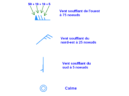 Fig. 7. Exemple de barbules et de leur signification. Source : Wikipédia