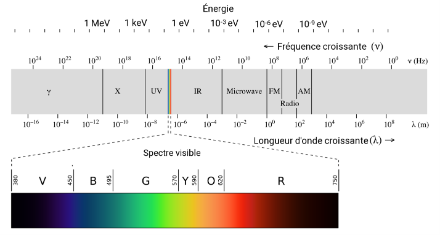 Figure 1 : situation du visible dans le spectre électromagnétique.