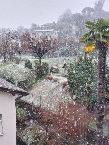 Chute de neige à Comano, près de Lugano.