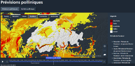 Figure 2 : Niveau de pollen de bouleau modélisé le 21 mars à 6 heures. La forte concentration de pollen dans les vallées alpines et sur les régions du Plateau est frappante. Les régions de moyenne et haute altitude en montagne sont en grande partie exemptes de pollen. 