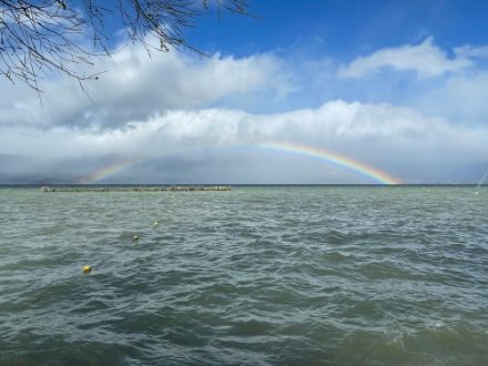 Figure 6. Vagues sur le lac de Neuchâtel à Châbles (FR) provoquées par le joran le samedi 23 mars 2024.