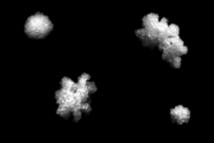 Figure 2 : photographies de particules givrées prises aux Charbonnières (VD) le 01 mars 2020 durant une giboulée. Les particules en haut à gauche et en bas à droite représentent de la neige roulée. 