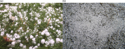 Figure 3 : (a) photo de neige roulée prise le 09 avril 2022. Source : observations participatives, App de MétéoSuisse. (b) Photo de grésil. Source : mike epp - originally posted to Flickr as Sleet, CC BY 2.0, https://commons.wikimedia.org/w/index.php?curid=3783116