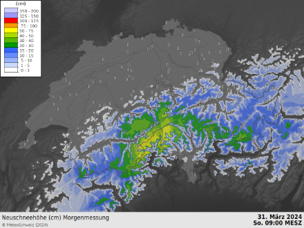 Quantités de neige fraîche tombées en 24 heures (mesure à 09h locales dimanche 31.03.2024) estimées par l'algorithme automatique INCA ainsi que les mesures prises par les observateurs ce matin de Pâques en surimpression. Le jaune indique la zone des précipitations les plus importantes.