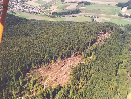 La tempête Lothar a causé d’important dégâts dans le canton du Jura, notamment dans les forêts, par exemple à côté du village de Buix