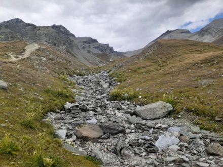 La professeure Manuela Brunner et son groupe de recherche étudient les phénomènes extrêmes tels que les inondations, la sécheresse, les incendies de forêt et les vagues de chaleur dans les écosystèmes aquatiques. Photo : pénurie d'eau dans un ruisseau au-dessus de Zermatt.