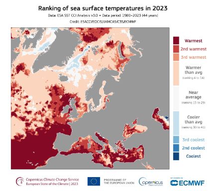 Classement des températures moyennes annuelles de la surface de la mer en 2023, par rapport à la période de 44 ans allant de 1980 à 2023. Les tons foncés indiquent les classements les plus élevés et les plus bas ; le rouge le plus foncé indique les zones où 2023 a été l'année la plus chaude jamais enregistrée. Les tons plus clairs indiquent les zones où les températures étaient plus proches de la moyenne.