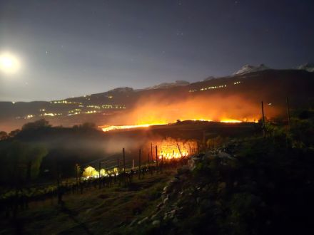 Lueurs des bougies pour la lutte contre le gel dans le vignoble de Salquenen durant la nuit du 18 au 19 avril 2024