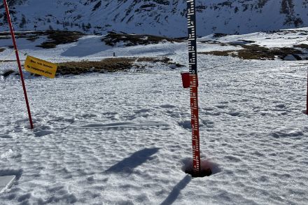 Fin janvier 2024, il n’y avait que 12 cm de neige au col du Simplon, soit le niveau le plus bas atteint à cette période de l’année depuis au moins 68 ans.