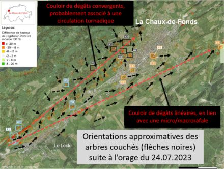 Figure 3 : représentation de l’orientation approximative d’effondrement des arbres autour de la ville de La Chaux-de-Fonds observée suite à l’épisode orageux (vecteurs noirs). En traitillés rouges, les tracés approximatifs à l’origine des dégâts : côté sud, des vents de type microrafales, davantage rectilignes, côté nord une probable circulation tornadique avec un effondrement des arbres par endroits fortement convergent.