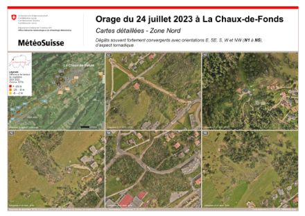 Figure 5 : dégâts observés sur le flanc nord de La Chaux-de-Fonds, zone marquée de rectangles noirs (N3) sur la carte en haut à gauche. L’échelle est indiquée dans le coin inférieur droit de chaque photo. 