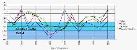 Température minimale à 5 cm (près du sol) du 1er au 16 mars 2024
