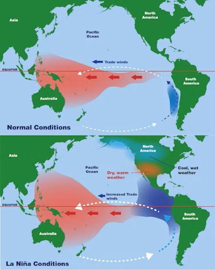 Dans une situation La Niña, l'eau est anormalement froide dans la partie orientale du Pacifique tropical et anormalement chaude dans sa partie occidentale. Source : NASA