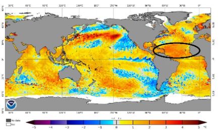 Actuellement, les températures de l'eau dans les zones de formation des cyclones atlantiques sont déjà exceptionnellement élevées, ce qui présage d'une saison active. La plupart du temps, on peut comparer ces conditions, en prenant pour référence des années présentant des conditions initiales similaires. Sauf que, actuellement, les anomalies de température sont si élevées qu'il n'existe pas suffisamment de cas comparables ! Source : NOAA