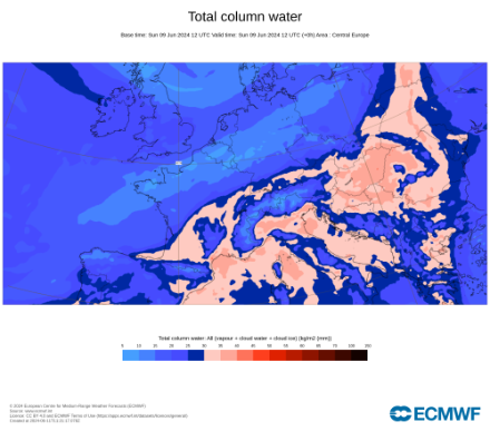 Contenu total en eau de l’atmosphère sur l’Europe centrale dimanche 9 juin à 14 h locale selon l’analyse du membre de contrôle du modèle IFS.