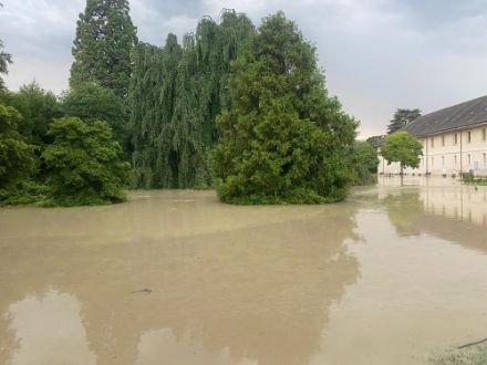 Figure 2. Parc de l’Indépendance à Morges le mardi 25 juin 2024.