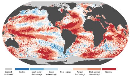 Anomalies et extrêmes de la température de surface de la mer pour juin 2024. Les catégories de couleur se réfèrent aux percentiles des distributions de température pour la période de référence 1991-2020. Les catégories extrêmes ("Coolest" (le plus froid) et "Warmest" (le plus chaud)) sont basées sur les classements pour la période 1979-2024. Les valeurs sont calculées uniquement pour les océans libres de glace. Les zones couvertes de banquises en juin 2024 sont indiquées en gris clair. 