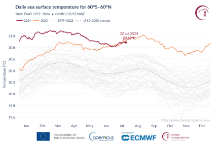 Figure 4 : température moyenne journalière de l’eau de surface des océans entre 60°S et 60°N. Source : ERA5, crédit C3S/ECMWF.