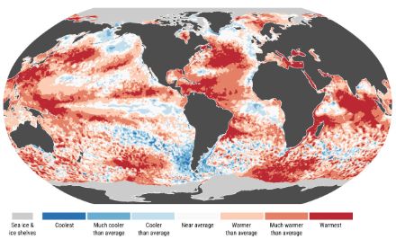 Anomalies et extrêmes de la température de surface de la mer pour juillet 2024. 