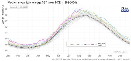 Evolution journalière de la température de la mer sur la Méditerranée (moyenne pour l’ensemble du bassin). Le 11 août 2024, la température de la mer a affiché une moyenne de 28,16 °C, un nouveau record.