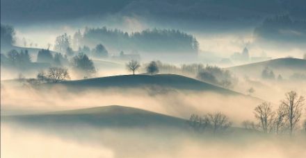 Figure 1 : bancs de brouillard au lever du soleil dans un paysage vallonné.