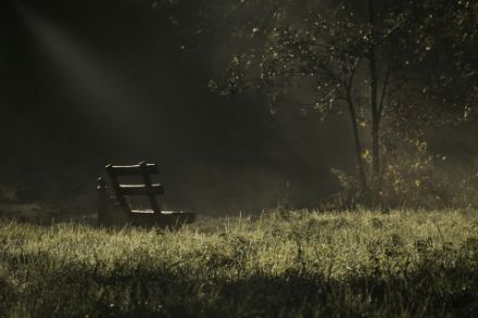 Figure 5 : rosée sur un champ au petit matin.