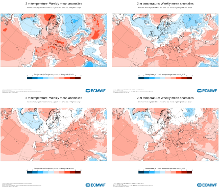 Anomalies de températures à 2m du modèle ECMWF pour le mois d'août 2024.