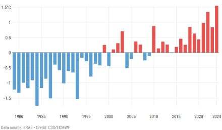 Figure 3. Anomalie de température moyenne globale de tous les étés de 1979 à 2024. 