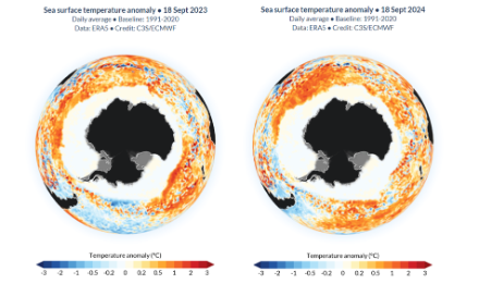Anomalie de température de surface des océans de l’hémisphère Sud sur les 18 septembre 2023 (gauche) et 2024 (droite). 