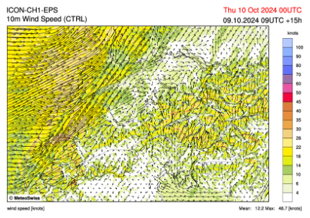 Prévision du champ de vent à 10m du sol pour 00 UTC (2 heures locales). Le vent du sud-ouest est bien établi sur le Jura et l'ouest du Plateau alors que le foehn règne dans les vallées alpines de la Suisse centrale et orientale.