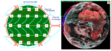Schéma de la circulation générale de l’atmosphère. La partie encadrée à droite correspond à la circulation des cellules de Ferrel, avec les zones de subsidence (déserts) sur son flanc sud et les zones d’ascendance dynamique (perturbations) sur son flanc nord. 