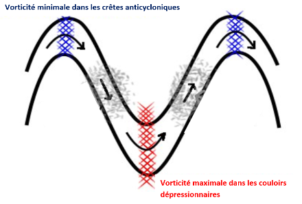 Schéma illustrant la conservation de la vorticité absolue par variation de la vorticité relative en fonction des déplacement latitudinaux des masses d’air. Source : www.code-red.info 