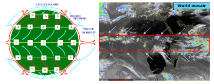 A gauche, circulation schématique de l’atmosphère à la surface du globe. Les A représentent les zones de subsidence anticyclonique et se traduisent sur l’image satellite de droite par les zones sombres dépourvues de nuages (hormis des stratus) ; les flèches bleues convergeant vers l’équateur représentent les alizés. La zone de convergence intertropicale (ITCZ) est représentée par les D au centre du globe ; elle se traduit sur l’image infrarouge par les averses et orages du centre de l’image (carré rouge).