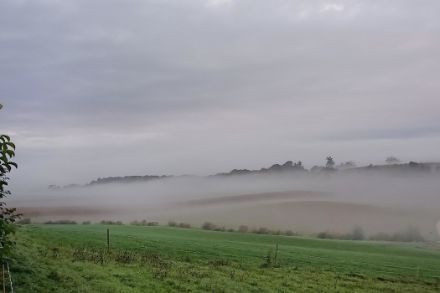 Hier matin  à Prez-vers-Noréaz, Fribourg.